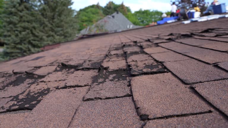 Professional Roofing Service in Republic, PA
